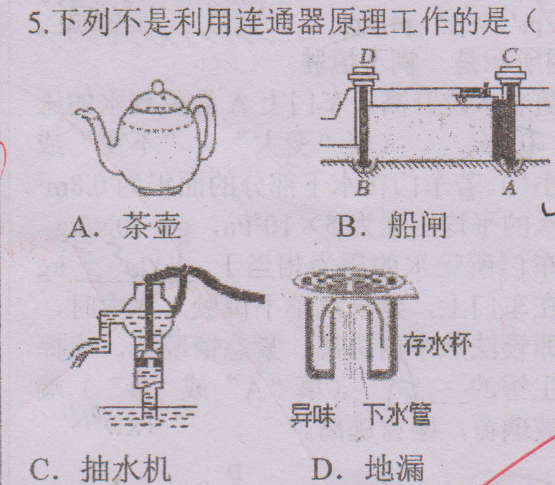 扫描_20240330 (5)